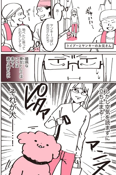 『うちのトイプーがアイドルすぎる。』より