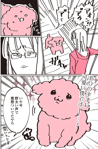 『うちのトイプーがアイドルすぎる。』より