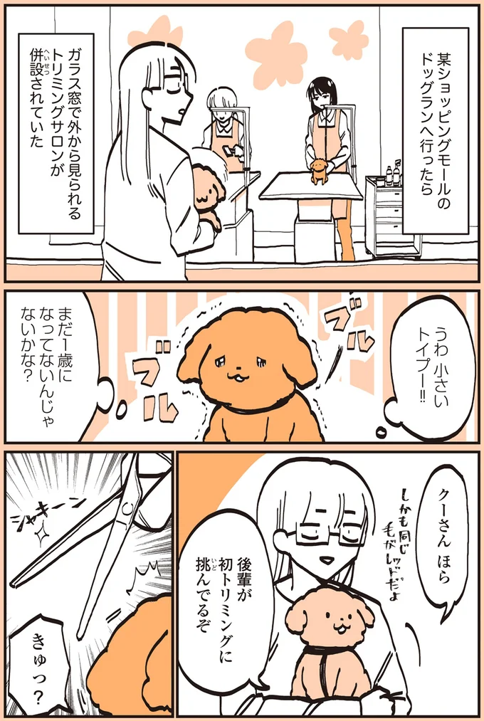 『うちのトイプーがアイドルすぎる。』より