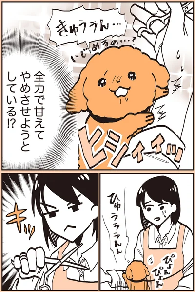 『うちのトイプーがアイドルすぎる。』より