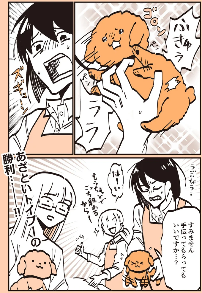 『うちのトイプーがアイドルすぎる。』より