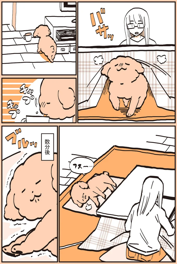 『うちのトイプーがアイドルすぎる。』より