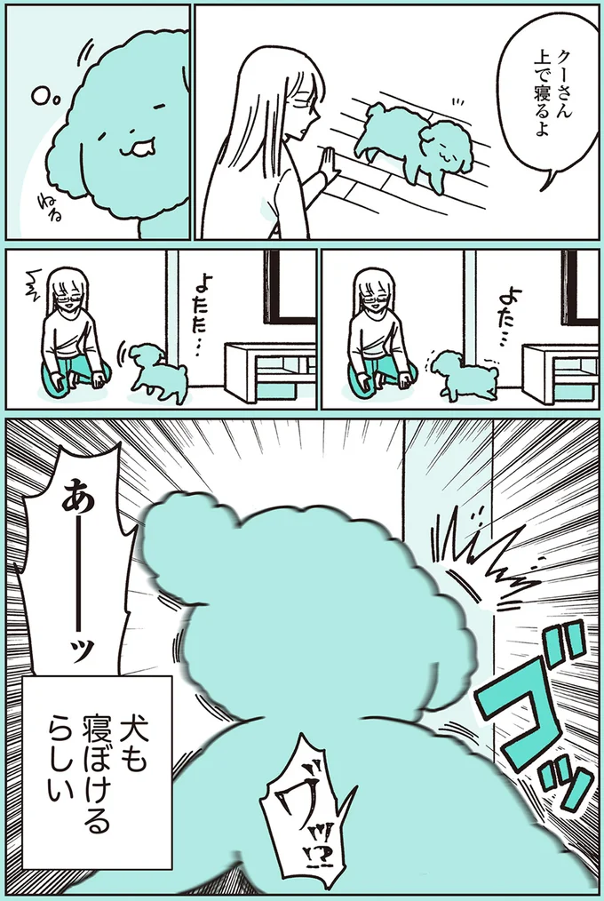 『うちのトイプーがアイドルすぎる。』より