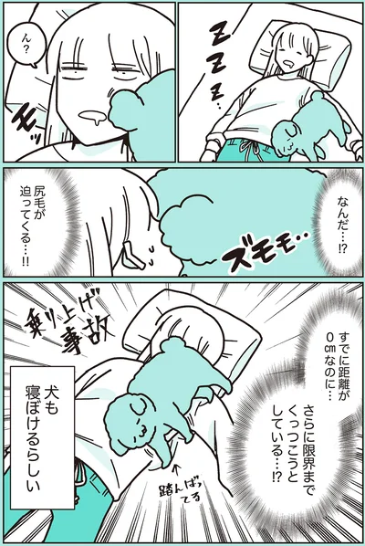 『うちのトイプーがアイドルすぎる。』より