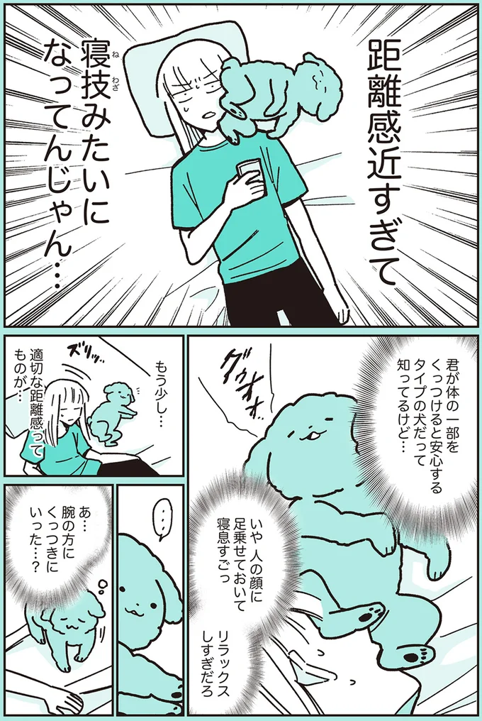 『うちのトイプーがアイドルすぎる。』より