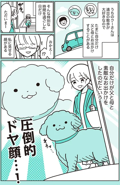 『うちのトイプーがアイドルすぎる。』より