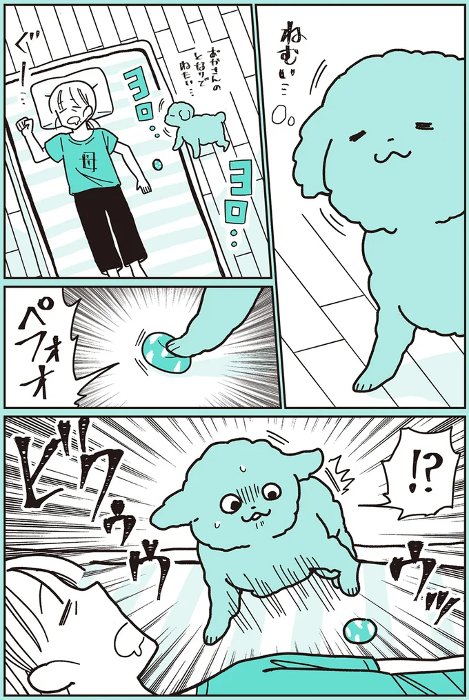 『うちのトイプーがアイドルすぎる。』より