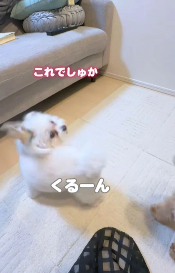 一回転ができるようになった！▶実はこの日は…（⇒次へ）