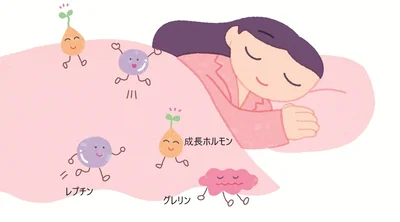 ダイエットの味方、成長ホルモンやレプチンがきちんと働く