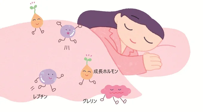 ダイエットの味方、成長ホルモンやレプチンがきちんと働く