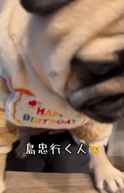 前のめりに反応する▶島中に行くと…（⇒次へ）