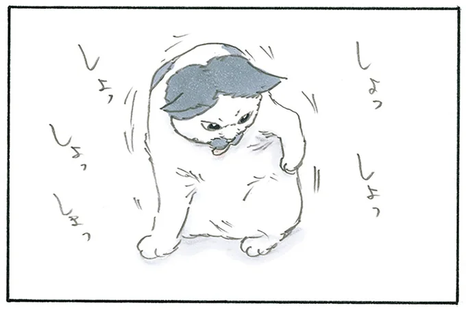 美味しいものを食べた後は…