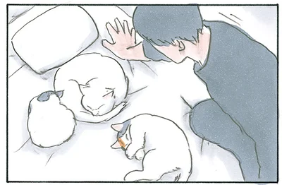 猫たちでいっぱいのベッドに