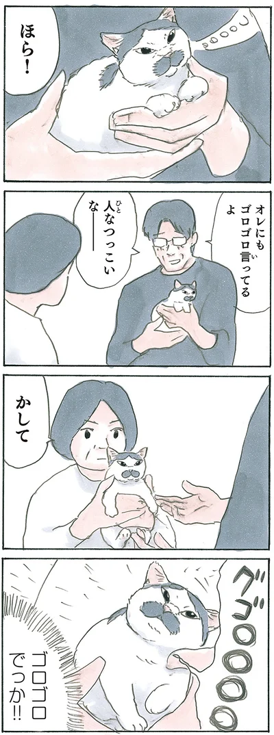 使い分けてる