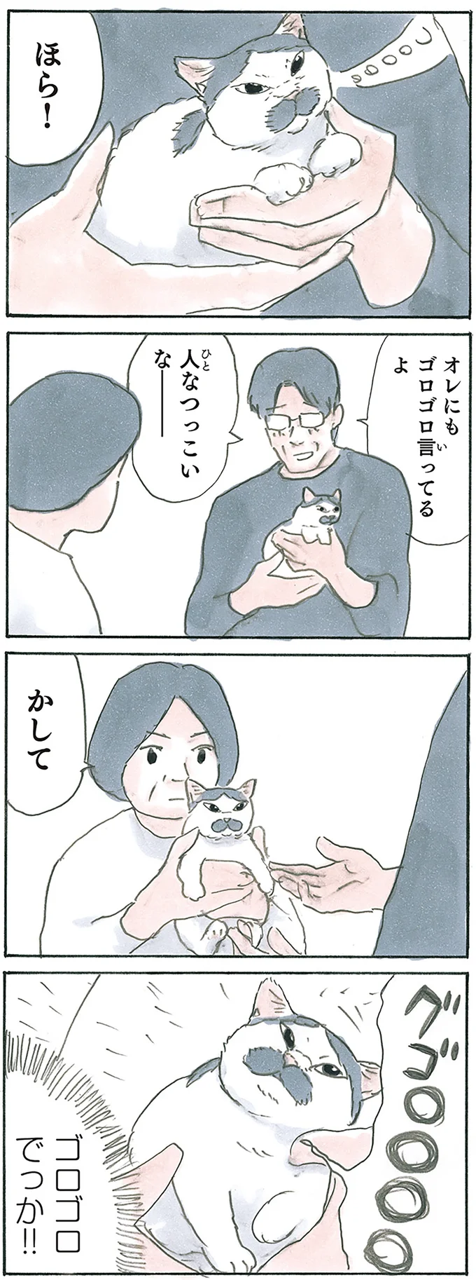 使い分けてる