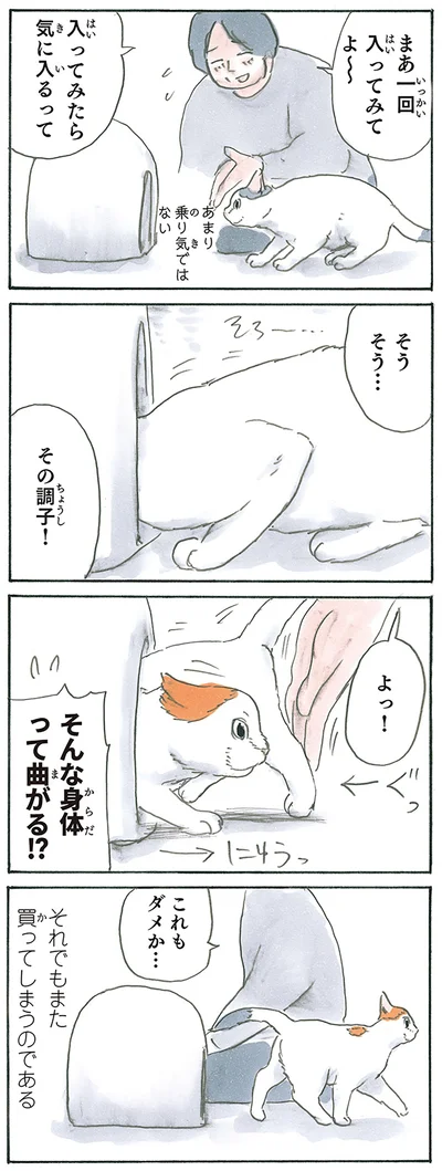 それでも買っちゃった