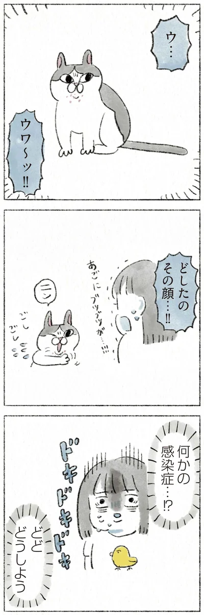 どしたのその顔…！！
