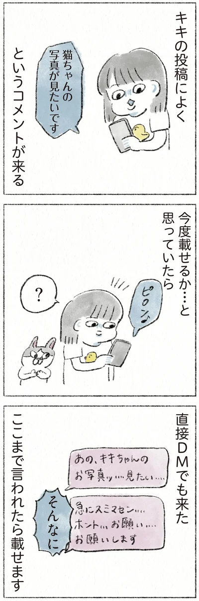 『うちの猫は今日も塩対応』より