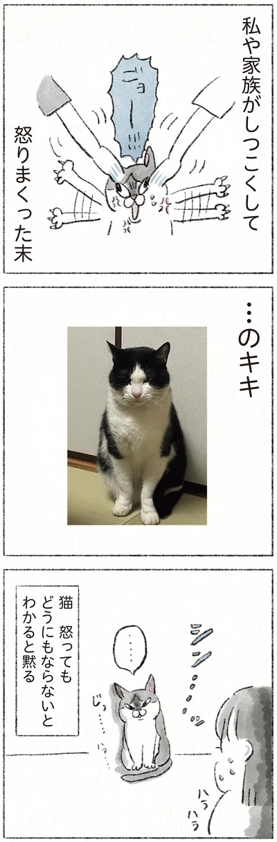 『うちの猫は今日も塩対応』より