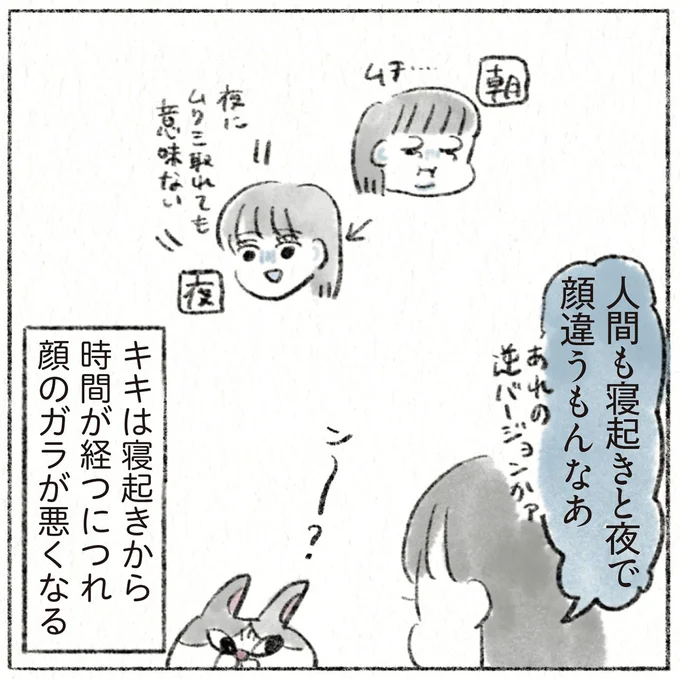 『うちの猫は今日も塩対応』より