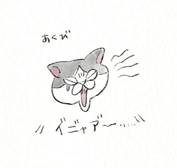 『うちの猫は今日も塩対応』より