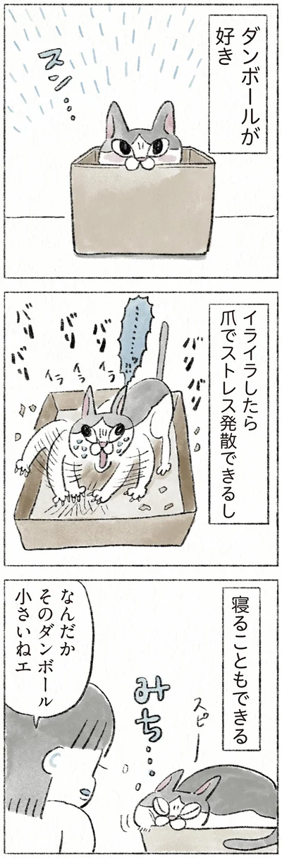 『うちの猫は今日も塩対応』より