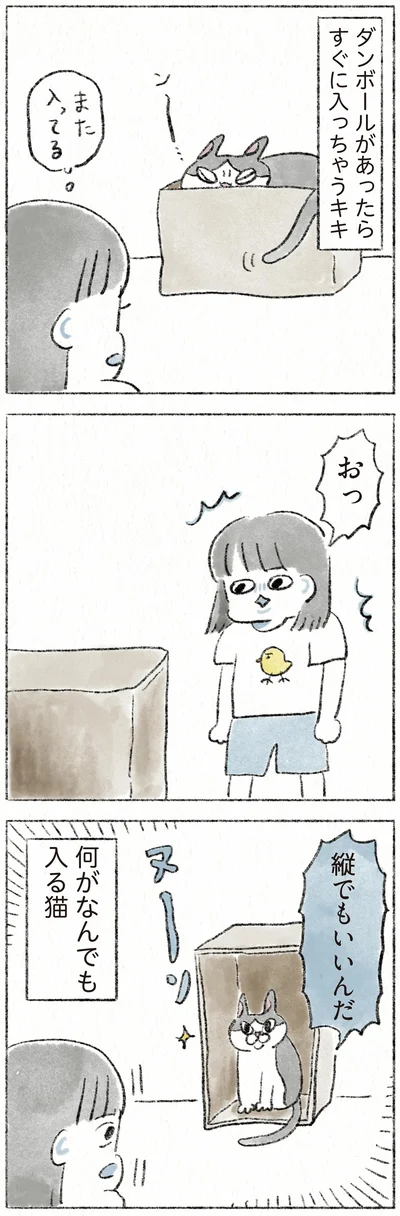 『うちの猫は今日も塩対応』より