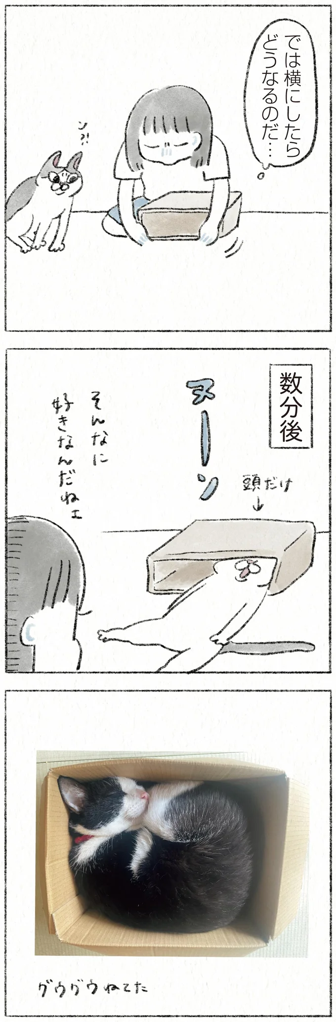 『うちの猫は今日も塩対応』より