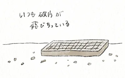 『うちの猫は今日も塩対応』より