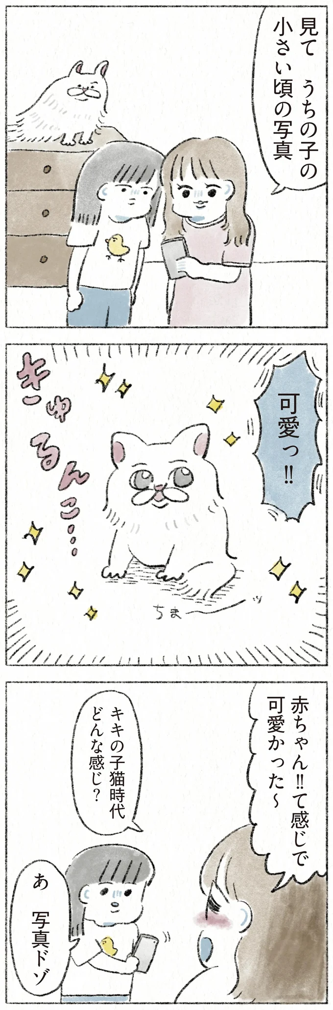 『うちの猫は今日も塩対応』より