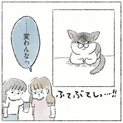 『うちの猫は今日も塩対応』より