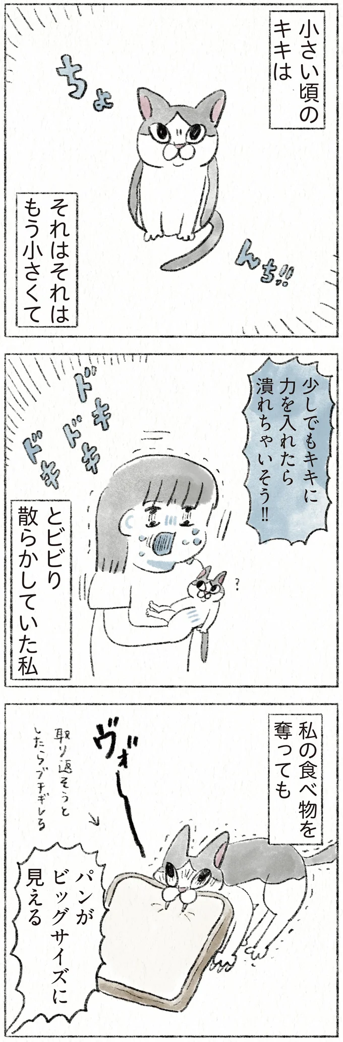 『うちの猫は今日も塩対応』より