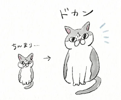 『うちの猫は今日も塩対応』より