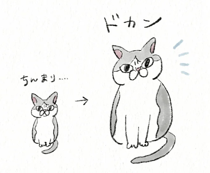 『うちの猫は今日も塩対応』より