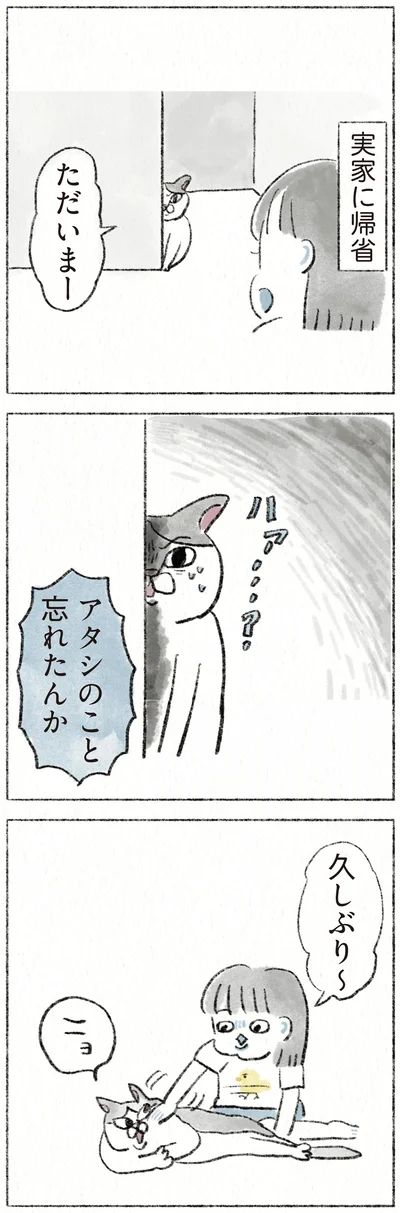 『うちの猫は今日も塩対応』より