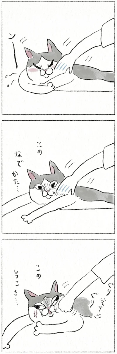 『うちの猫は今日も塩対応』より