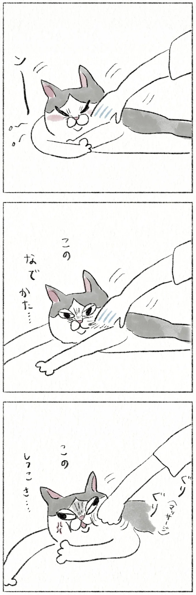『うちの猫は今日も塩対応』より