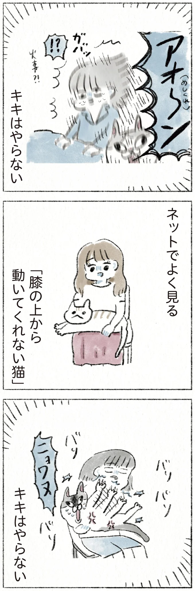 『うちの猫は今日も塩対応』より