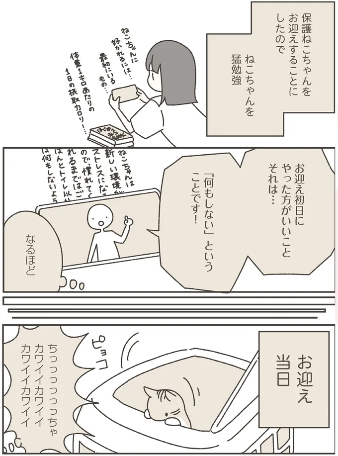 ねこちゃんを猛勉強