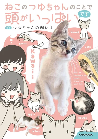 『ねこのつゆちゃんのことで頭がいっぱいです』