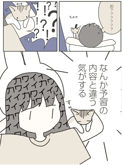 予習の内容と違う気がする