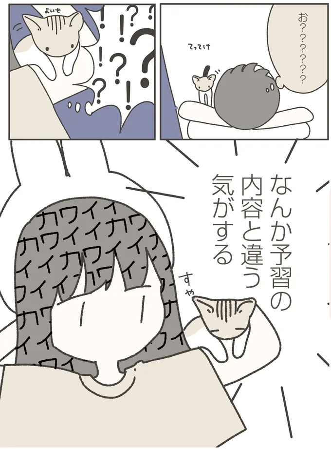 予習の内容と違う気がする