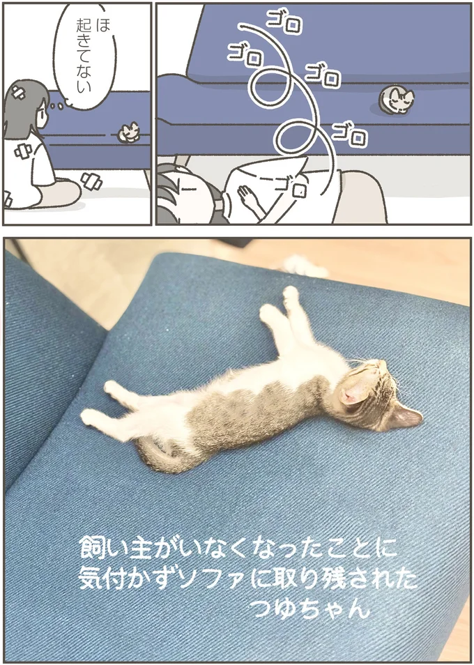 『ねこのつゆちゃんのことで頭がいっぱいです』より