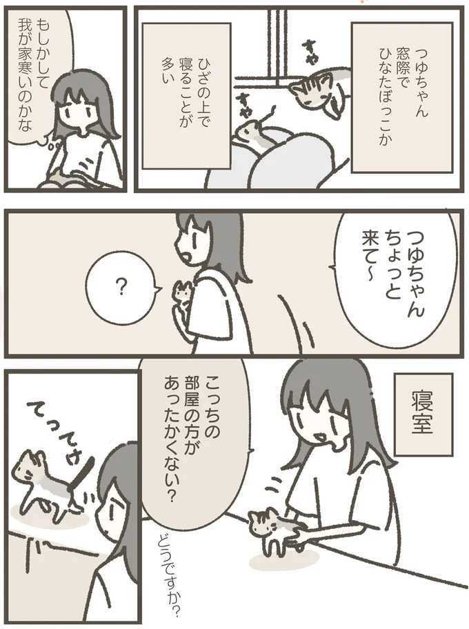 『ねこのつゆちゃんのことで頭がいっぱいです』より