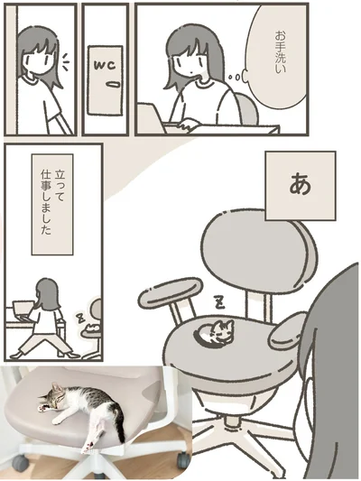 『ねこのつゆちゃんのことで頭がいっぱいです』より