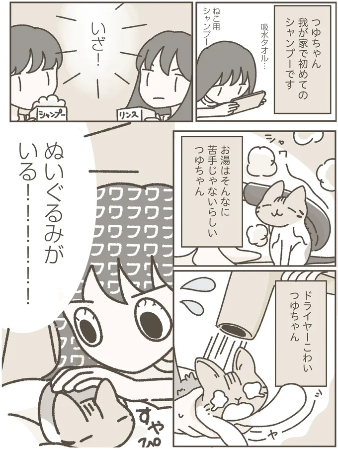 『ねこのつゆちゃんのことで頭がいっぱいです』より