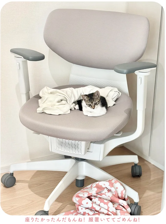 『ねこのつゆちゃんのことで頭がいっぱいです』より