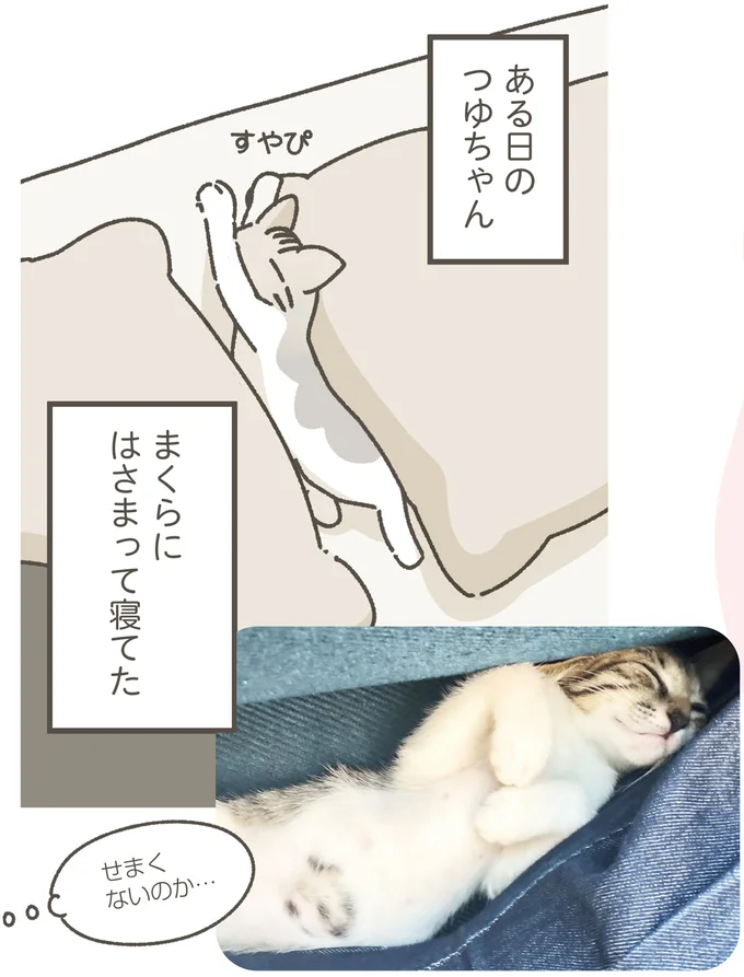 『ねこのつゆちゃんのことで頭がいっぱいです』より