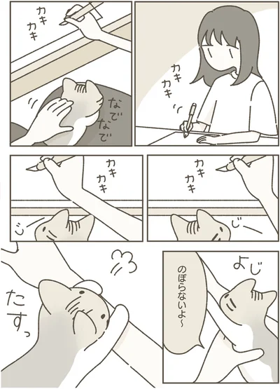 のぼらないよ～