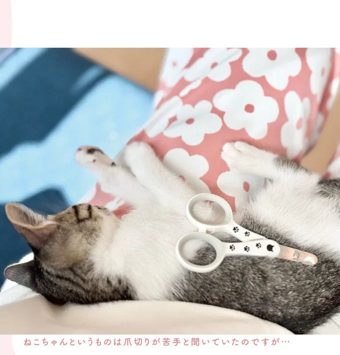 爪切りが苦手と聞いていたのですが…